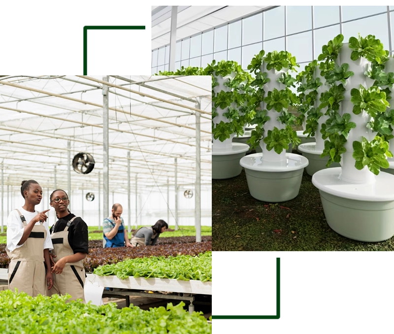 about-elroi-solutions-field