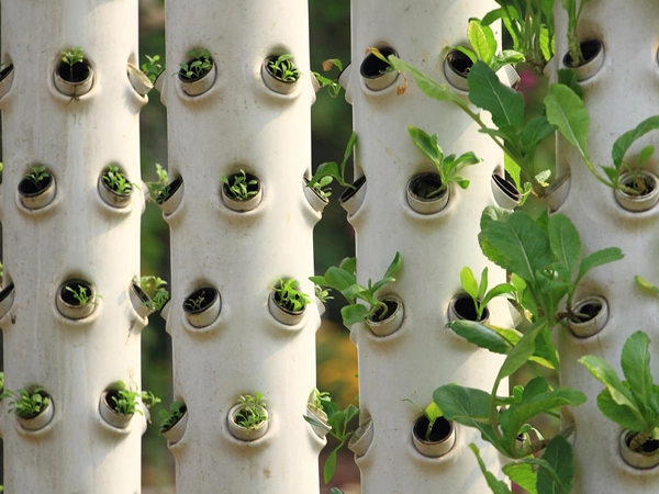 elroi-hydroponics-slide1