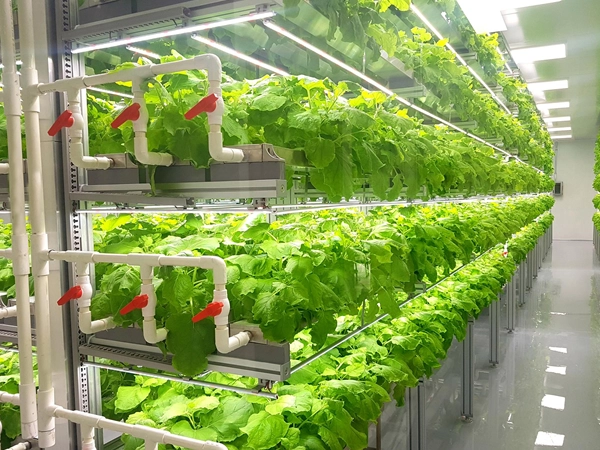 elroi-hydroponics-slide4