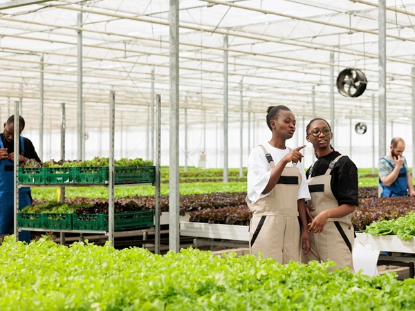 elroi-hydroponics-slide5