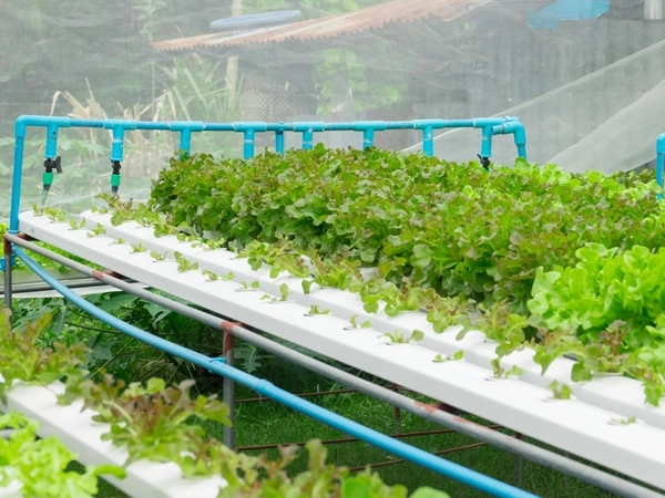 elroi-hydroponics-slide6