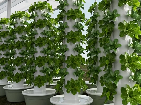 elroi-hydroponics-slide8